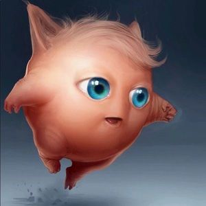 Meet your Posher, Allyn